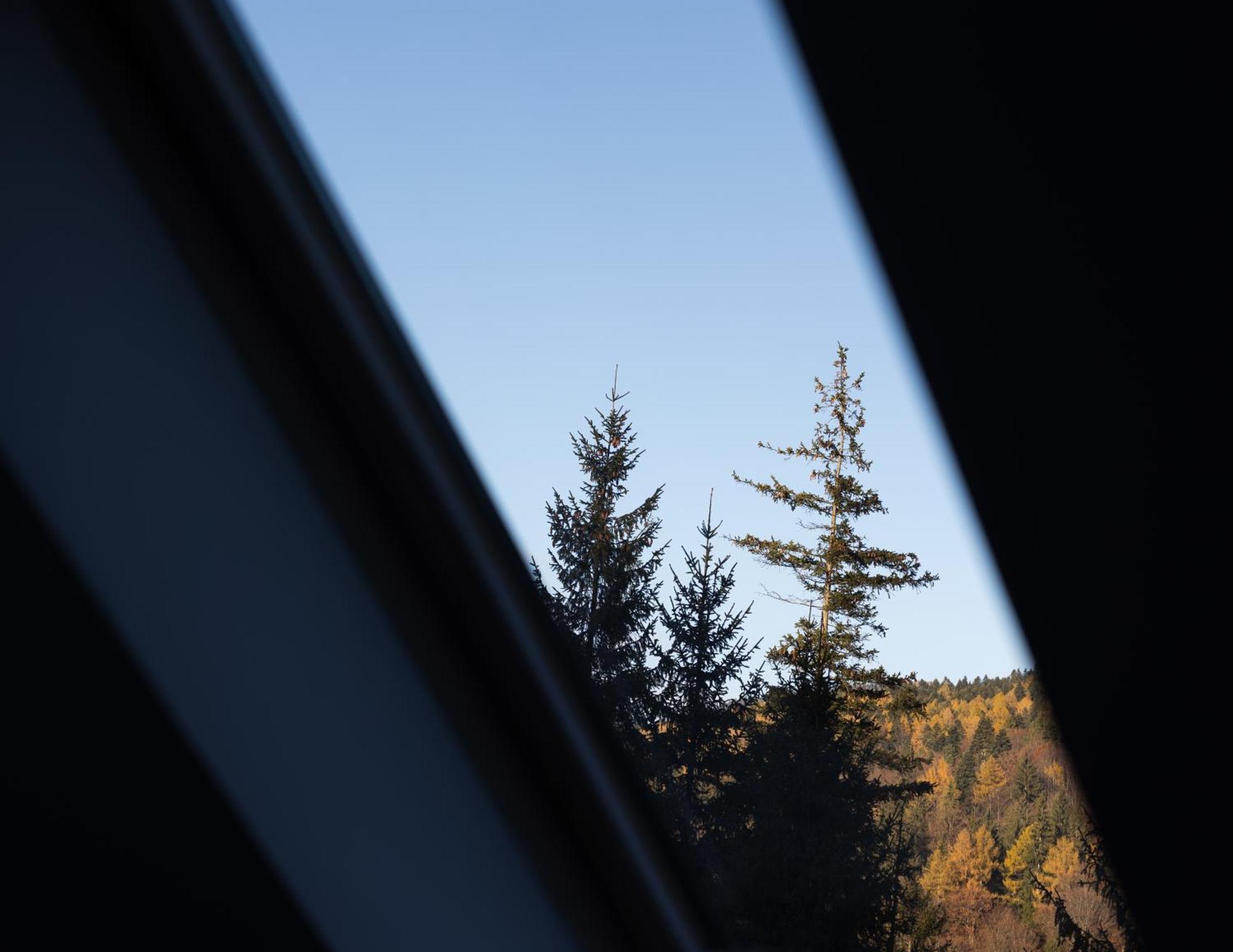 Impala Sinaia - Springbok Appartement Buitenkant foto